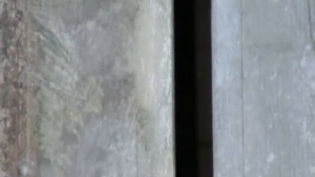 VTS 01 1 смотреть онлайн