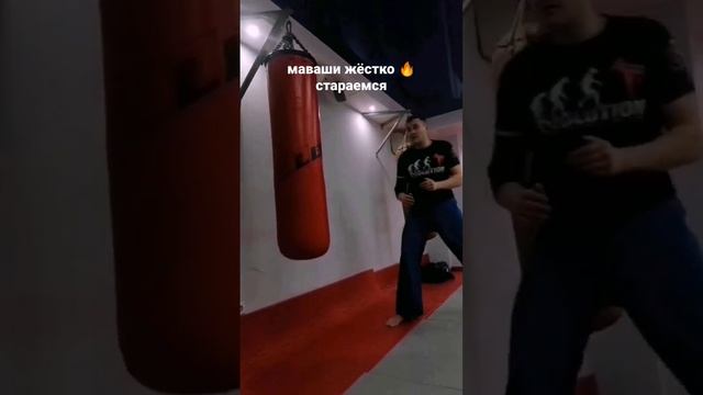 #mma #кудо #братство бьём маваши. каменная груша