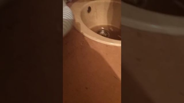 Живучие караси смотреть онлайн