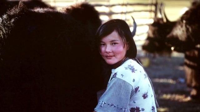 НАУЧНАЯ СЕНСАЦИЯ ИЛИ ПОТРЕВОЖЕННАЯ СВЯТЫНЯ Тайна Древней Алтайской Принцессы Уко смотреть онлайн