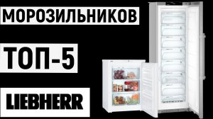 ТОП-5. Лучшие морозильники Liebherr. Рейтинг