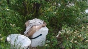 Как сохранить пойманную рыбу при жаре 29 градусов