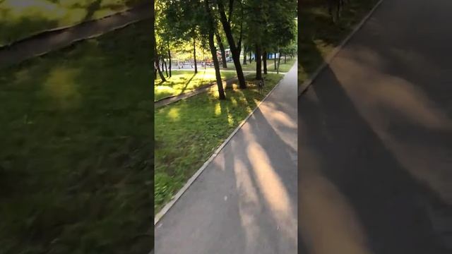 Подготовка собак к охотничьему сезону. bushking.ru смотреть онлайн