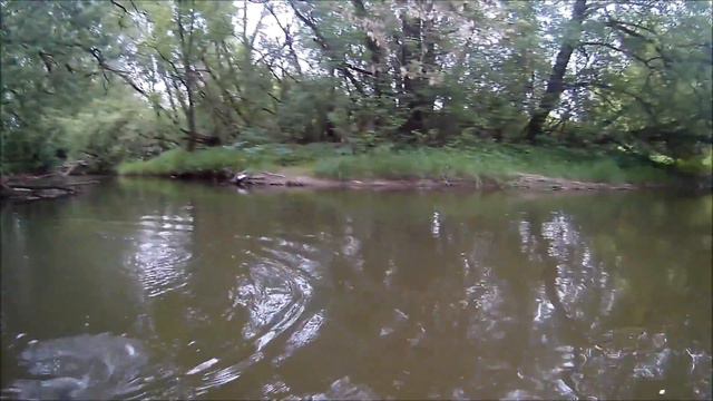 Голавль малой реки смотреть онлайн