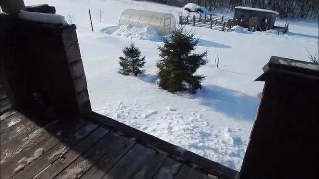 Обзор сруба за 5 лет в нутри. смотреть онлайн