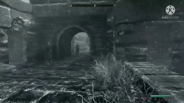 I think my horse is on crack смотреть онлайн