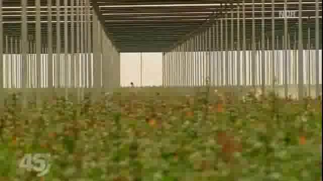 Die Rosen-Story смотреть онлайн