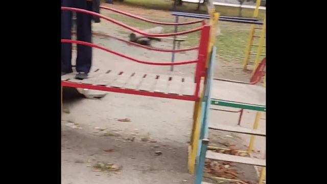 Волшебство Локонов