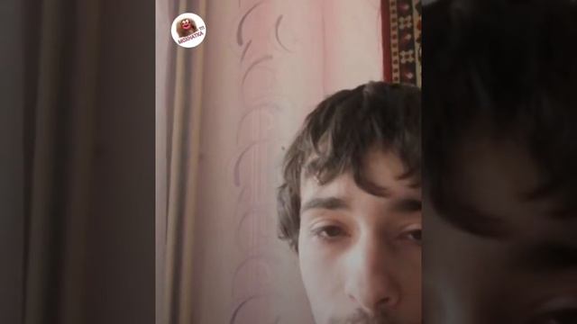 Флегматичный алень на страже РСП смотреть онлайн