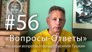 «Вопросы-Ответы», Выпуск #56 - Василий Тушкин отвечает на ваши вопросы