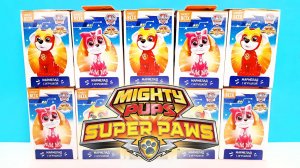 МЕГАЩЕНКИ - щенячий патруль свит бокс / Mighty pups / sweet box