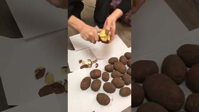 Картофель манифест смотреть онлайн