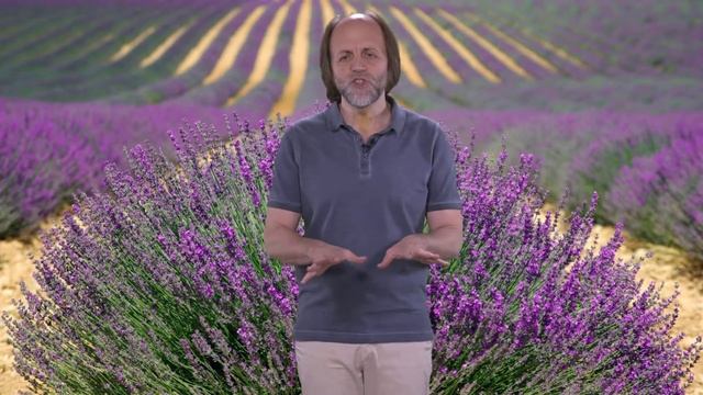 Медитация №7. С фиолетовыми сферическими вакуумными оболочками (очищение рук и ног) смотреть онлайн