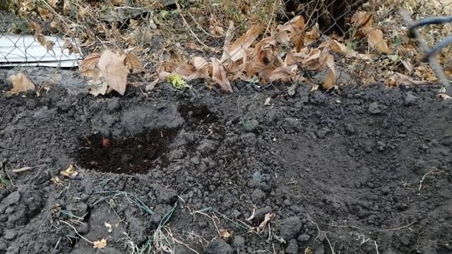 СтройКомплекс