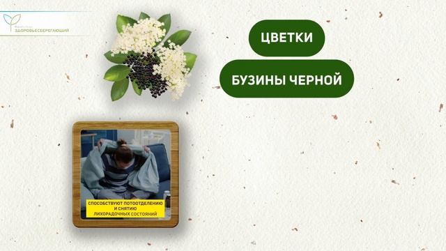 Сибирский сбор для суставов за копейки смотреть онлайн