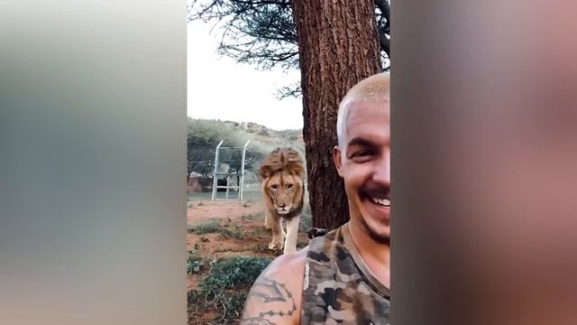 ЭТО Нужно Видеть! ДИКИЕ Животные Стали Дружелюбными и Встретились С Людьми! смотреть онлайн