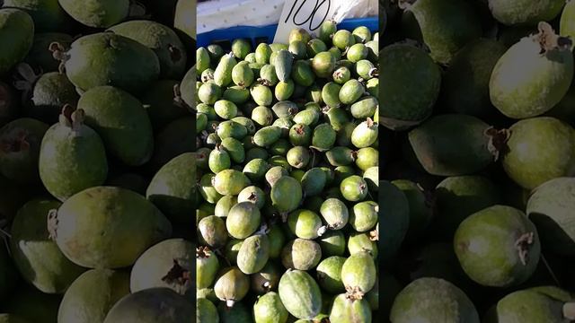 Фейхоа. Очень полезная.