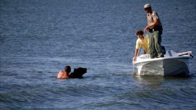 Медведь тонул в воде. Но то, что сделал этот мужчина, всех напугало! смотреть онлайн