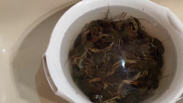 Компьютерные Игры и Летсплеи