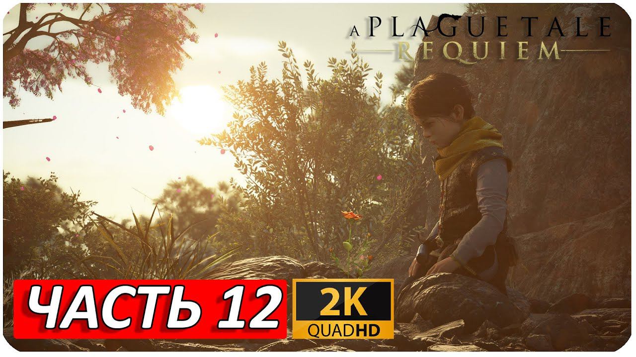 A PLAGUE TALE: REQUIEM ПРОХОЖДЕНИЕ [2K] ➤ Часть 12 ➤ На Русском ➤ Геймплей НА ПК