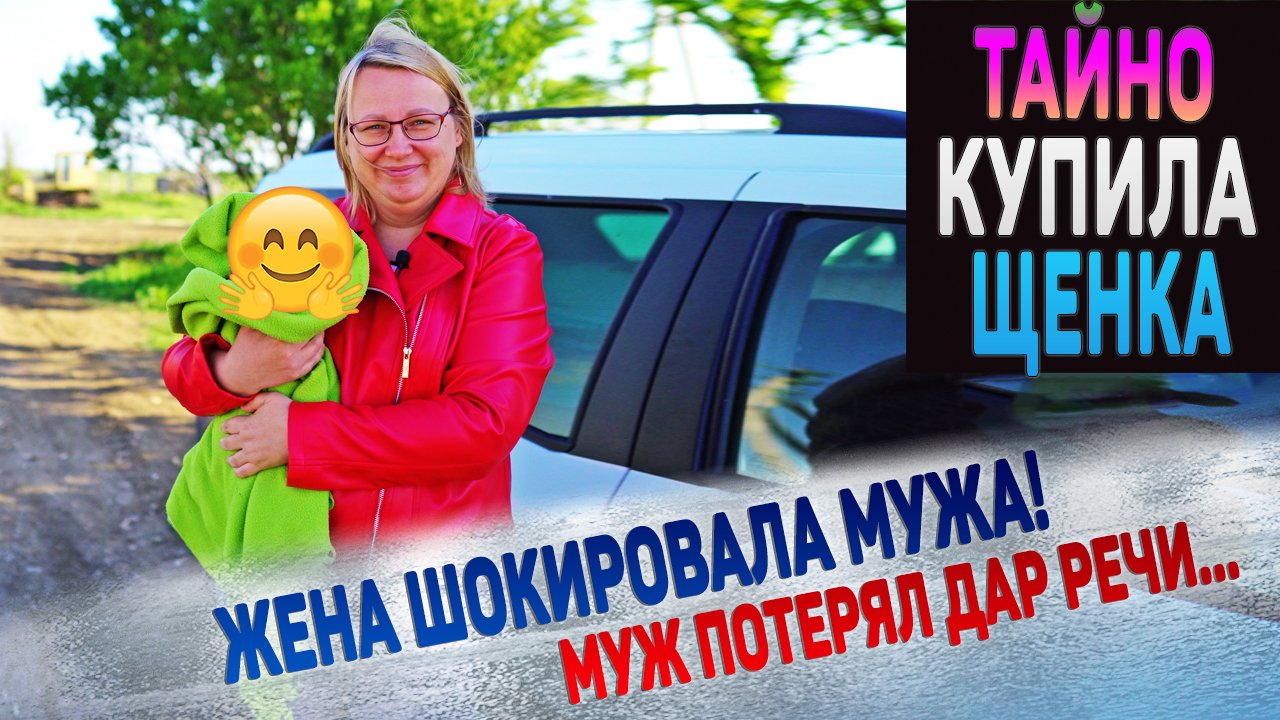 Щенок неожиданной породы! Никогда не догадаетесь! смотреть онлайн