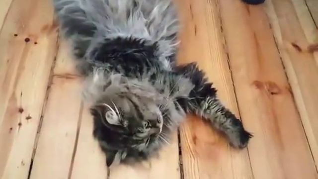 Hrisi - day 4 смотреть онлайн