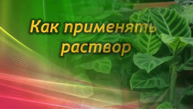 Сладкая подкормка – в холодное время важная процедура для комнатных растений. смотреть онлайн