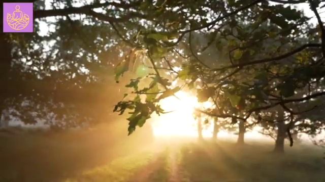 Медитация для принятия непостоянства мира | Медитируй со мной смотреть онлайн