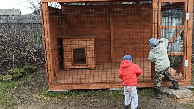 Деревенский Влог? Уха и блины на улице? помидорам хана? смотреть онлайн
