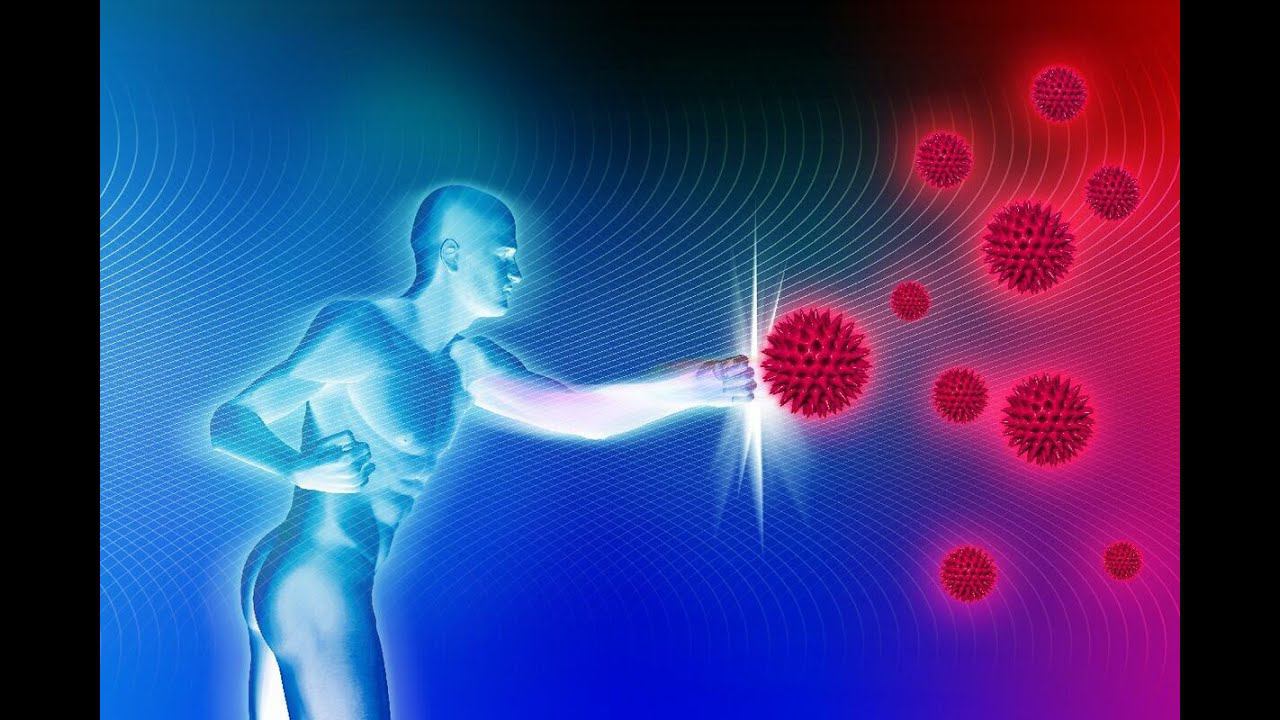 Иммунная Система ( Immune System ) Ans Nutritional Balancing Science