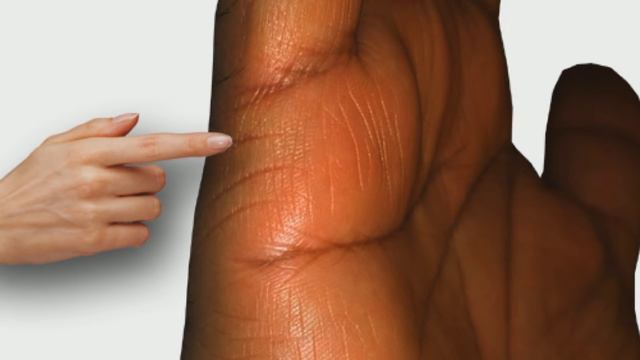 MARRIAGE LINES Male Palm Reading Palmistry #118 смотреть онлайн