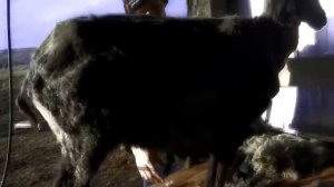 можно ли стричь волосы самому себе