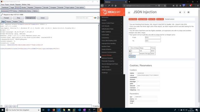 JSON Injection (Video solution) смотреть онлайн