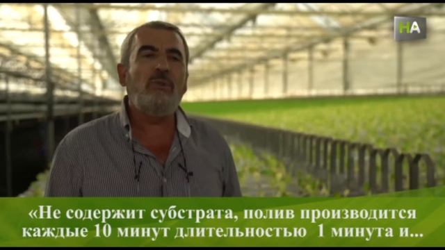НА Самый умный парник в Европе смотреть онлайн