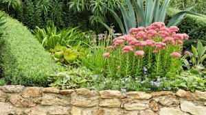 ?Примеры ландшафтного дизайна загородных участков / Landscaping ideas / A - Video