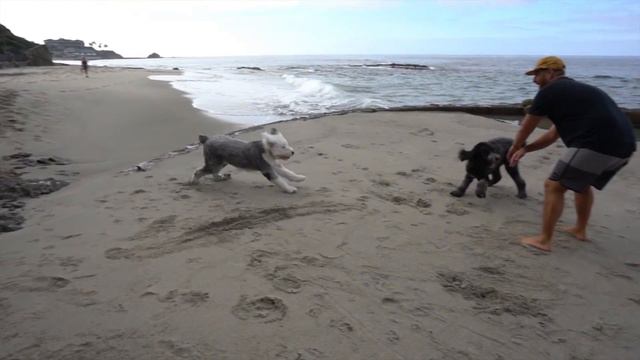 Epic summer in Laguna Beach! смотреть онлайн