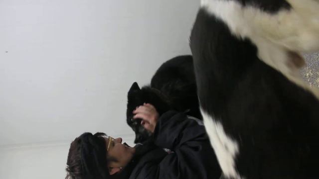 HOSPICE. MOOR&DUSIK&PRINCE& 30 ноября 2014 смотреть онлайн