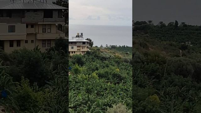 Вид на море с домика в горах близ Демирташ Алания Турция смотреть онлайн