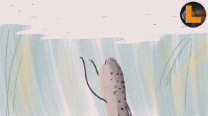 Рыбы, которые ходят по суше