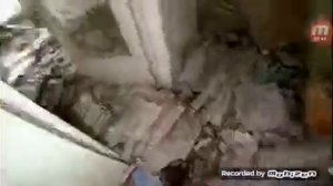 Александра Киевская видео из Чернобыля