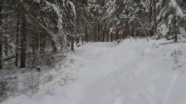 Петяярви. Первый снег. 9 декабря с2022. смотреть онлайн