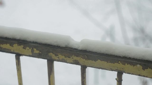 Снег тает, выгуливают кота, следы на снегу. Воскресенье 26 ноября смотреть онлайн