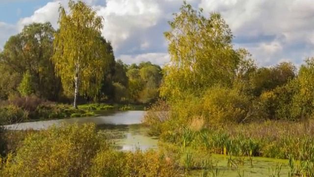 Осень НЕпара) смотреть онлайн