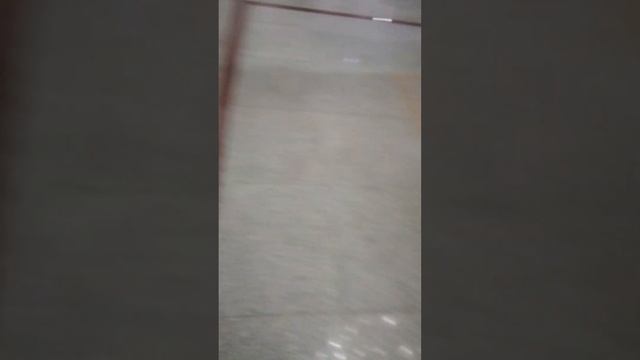 экскурсия(2) смотреть онлайн