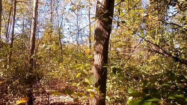 1st Annual Michigan Permaculture Convergence: Earthcare смотреть онлайн