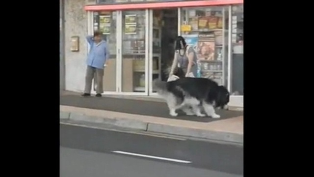 да, какай ты уже смотреть онлайн