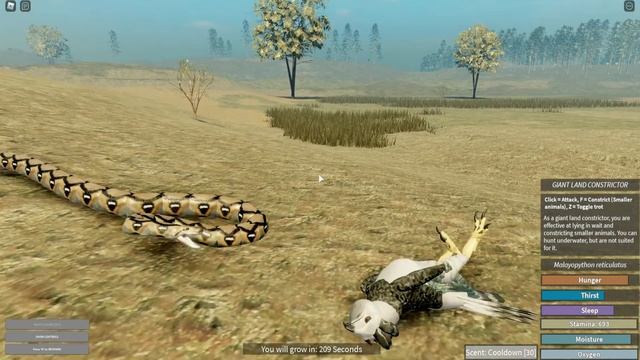 HOLOCENE TS - MY FIRST RETICULATED PYTHON! смотреть онлайн