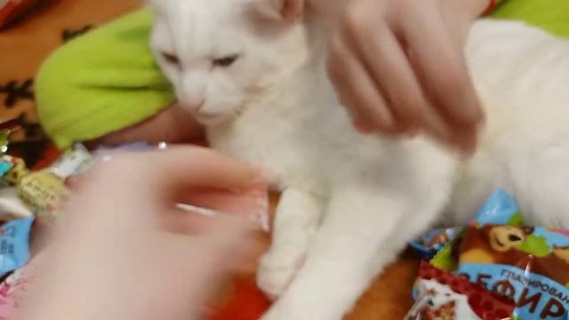 СЛАДКИЕ НОВОГОДНИЕ ПОДАРКИ ОТ ДЕДА МОРОЗА 2021??? смотреть онлайн