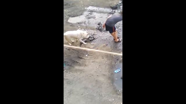 ЧЕЛОВЕК ПОТЕРЯЛ КЛЮЧИ! смотреть онлайн