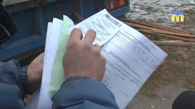У Миколаєві розпочався офіційний продаж ялинок смотреть онлайн